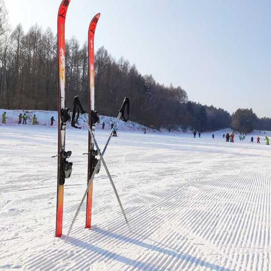 Ski Binding Mount, Adjustment and Safety Test