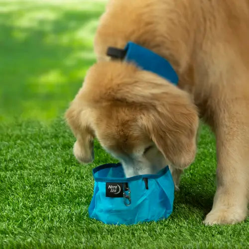 Nite Ize RadDog™ Collapsible Bowl - Blue