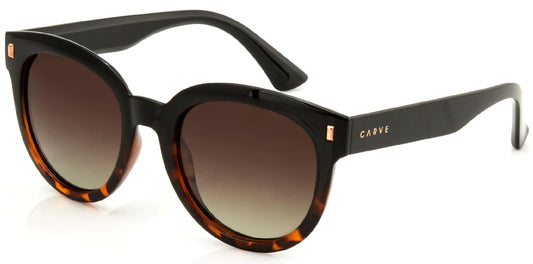 Carve Harpo Sunglasses