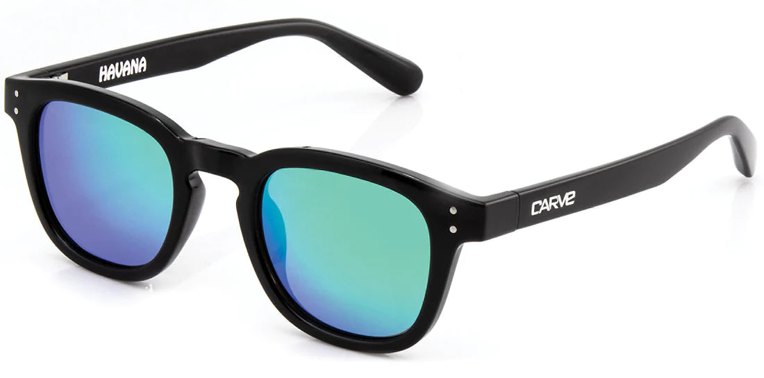 Carve Havana Sunglasses